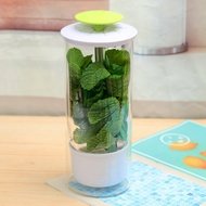 Vanilla Coriander Fresh-keeping Box Vegetable Herbal Fresh-keeping Utensils Food Storage Box