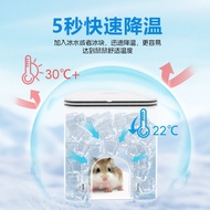 Hamster Igloo Hamster Cooling Hamster Igloo Hamster Cooling Igloo Golden Bear Igloo Sleeping Nest La