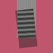 Hot Chip / Why Make Sense? (Vinyl)