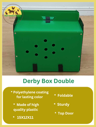 Double Derby Plastic Box / chicken box/ cage/ kulungan ng manok