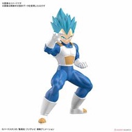 《密斯特喬》萬代 BANDAI 組裝模型 ENTRY GRADE 超級賽亞人之神超級賽亞人 達爾