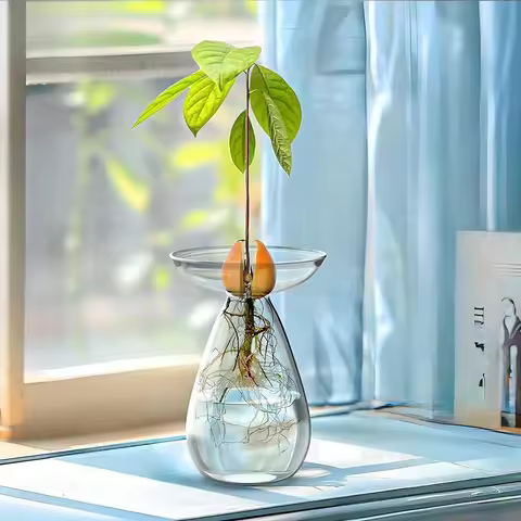 Avocado Seed Starter Glass Vase Avocado Hydroponic Vase Growing Kit for Home Decor Transparent Vase 