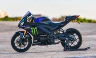 2019 YAMAHA YZF R3