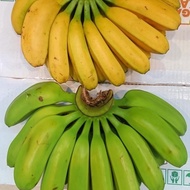 Pisang | pisang kepok | pisang kepok papua