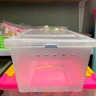 Gecko Box | Gecko, Hamster, Reptile Cage