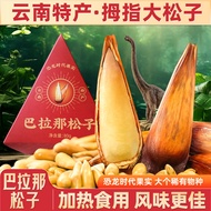 Zhongyun Balson Balana Pine Nuts Thumb Big Pine Nuts Cooked Yunnan Caramel Flavor Pine Nuts Nuts Sna