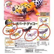 爬蟲類 大圖鑑 , 木守宮 , 蜥蜴 , 關節可動 , 可動扭蛋 , 環保扭蛋 , 扭蛋 ,  bandai