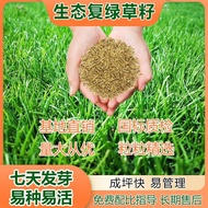 💕Spot Goods💕Grass Seed Grass Seeds Green Lawn Slope Protection Compound Green Project Grass Seed Rye