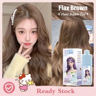 Bubble Plant Hair Dye,New Botanical Bubble Hair Dye Hair Dye Shampoo for Women Men 240ml