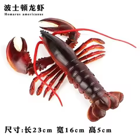 Artificial Lobster Simulation Lobster Model Large Australian Lobster Boston Lobster Seafood Model An