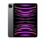 全新 iPad Pro 11吋 256GB Wi-Fi 版