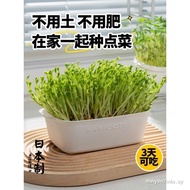 Japan Imported Pea Sprout Germination Pot Mung Bean Sprout Cultivator Vegetables Cat Grass Planting 
