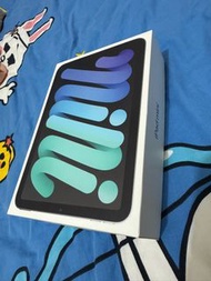 IPad mini 7 256GB  5G 黑色
