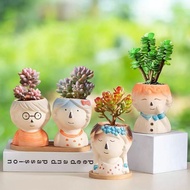Combination Super Cute Cute Succulent Flowerpot Ceramic Painted Wholesale Cartoon Flowerpot Succulent Plant Ornaments Craft