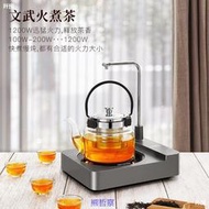 電陶爐一人煮茶爐全自動煮茶器上水泡茶機燒水壺功夫茶電磁爐