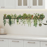 Modern Fresh Antique Green Leaf Green Dill Plant Hanging Basket Bedroom Living Room Indoor Wall Beau