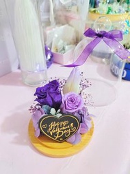 （新款/現貨）紫玫瑰 鬱金香保鮮花/永生花 玻璃罩擺設