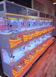 夾公仔機、迷你機、標準機、窄身兌幣機 全走