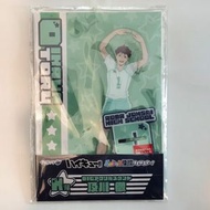 排球少年 青葉城西 及川徹 立牌 高約18cm