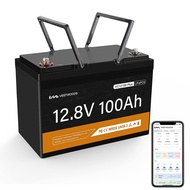 VESTWOODS 12V 100Ah LiFePO4 Lithium Rechargeable Battery, Bluetooth Lithium Battery, 4500 Cycles, 1.