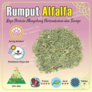 Rumput Timothy / Alfalfa / Orchard Berkualiti Diimport dari USA untuk Haiwan Kesayangan Arnab Guinea