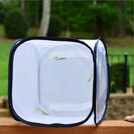Meowhouse Collapsible Insect Mesh Cage for Grasshopper Insects Raising Caterpillar