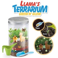 SG Seller| Terrarium Kit for STEM Activities Science Craft Kits Educational Kids Toys Planting Toys for Children