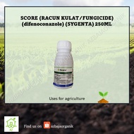 SCORE (RACUN KULAT/FUNGICIDE) (difenoconazole) (SYGENTA) 250ML