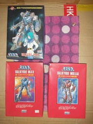 絕版罕見稀有品 超時空要塞 Macross ARII  1/100 1:100 scale Plastic Model kit Max 麥斯 Millia 米娜 VF-1J Valkyrie 韋基利 