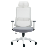 เก้าอี้เพื่อสุขภาพ Ergotrend x OfficeMate ICEBERG สีขาว