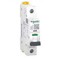 SCHNEIDER MCB iC60N IC60N 1P 2A 1 Pole A9F74102 100% SchneiderOriginal