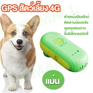 GPSติดตามสัตว์เลี้ยง 4G  ติดตามหมา แมว Gps Tracker For Dog Cat  kids ปลอกคอ สุนัข Gps ติดตามแฟน GPS 