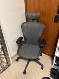 Herman Miller Aeron + Headrest