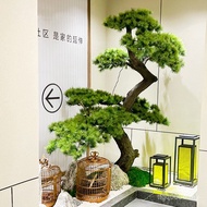 Large Landscape Welcome Guest Pine Decoration Arhat Pine Entrance Landscaping New Chinese Green Plan