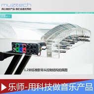 Musician Electronic Manufacturer Supply Crystal Electric Guzheng Electric Guzheng Crystal Guzheng Cr