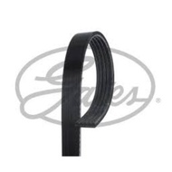 Front Engine Belt 5PK SUZUKI CELERIO K10B 1.0 CIAZ 1.2 ERTIGA K14B 1.4 SWIFT ECO CAR 2010- K12B 1.2