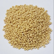Kacang Ulunthu / Kacang Thosai / Urid Dhal