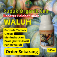 Pupuk Pelebat Buah Waluh Pupuk Booster Pelebat Buah Waluh Pupuk Organik Pemacu Dan Perangsang Buah.