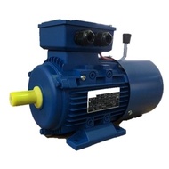 Eledelta DC Brake Motor 5.5HP 4KW 4P 3Phase Cast Iron