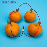 IESPOIRNC Fruit Battery Science Experiment Kit, STEM Experiment Kit Potato Powered Electricity Exper