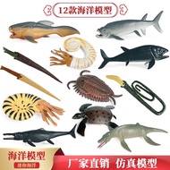 Children Simulation Prehistoric Animals Sea Animals Toy Model Solid Great White Shark Cyptomite Ammo