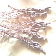 [ 2pcs ] dried ginseng roots