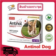 Antinol DOG 60 แคปซูล อาหารเสริมบำรุงข้อ ข้ออักเสบ 1 กล่องบรรจุ