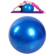 02 - Gym Ball Yoga Pilates Fitness Ball 55cm