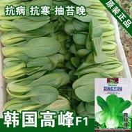 好姐姐丶青菜種子 種籽油菜種子 種籽油菜籽雞毛菜種子 種籽小白菜種子 種籽蔬菜種子 種籽菜種菜fyc