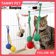 Cat Interactive Toy Colorful Hanging Wall Sisal Ball Chew Catnip Scratching Twine Ball Training Toys