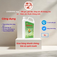 VIBO LIVERMINE Max – Strengthens the liver, detoxifies, increases fish's resistance - Reduces antibi