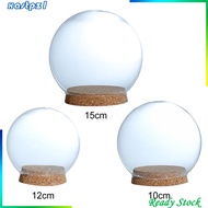 [Ready Stock] Decorative Glass Dome Cloche Terrarium Plant Figurines Tabletop Ornament