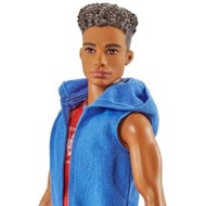 Ken fashionistas doll (used)
