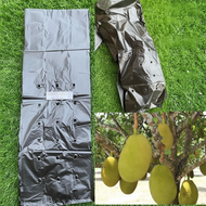Plastik 50keping Pembalut Buah NANGKA/ CEMPEDAK Sarung nangka sarung cempedak 0.012x11x22x2
